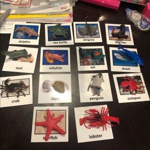 Curious Minds Busy Bags Sea Creatures